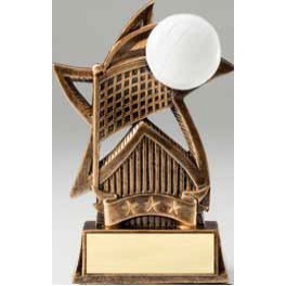 Volleyball - Sweeping Star - 6"