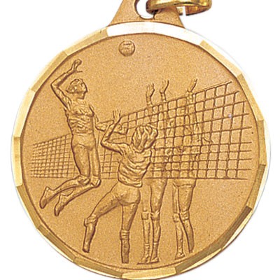 E Series Die Struck Female Volleyball Medal