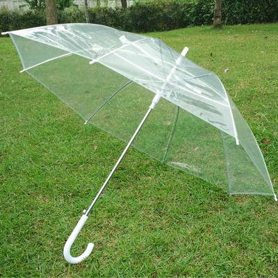 Transparent Umbrella