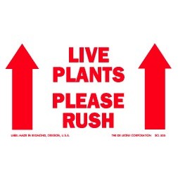 Live Plants Please Rush Labels - 3" x 5"