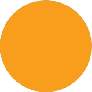 Fluorescent Orange - Circle Labels - 1.5" Diameter