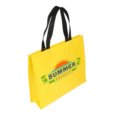 Custom Non-woven Coated Bag