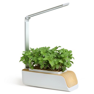 LED Grow System Indoor Gardening