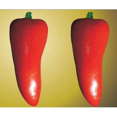 Red Chili Pepper Metal Photo Magnet (2 1/2"x2 1/2")