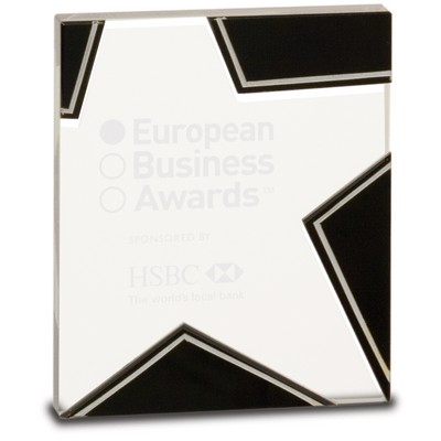 Black & Silver Glass Star Award