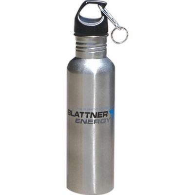 25 Oz. Stainless Steel Bottle