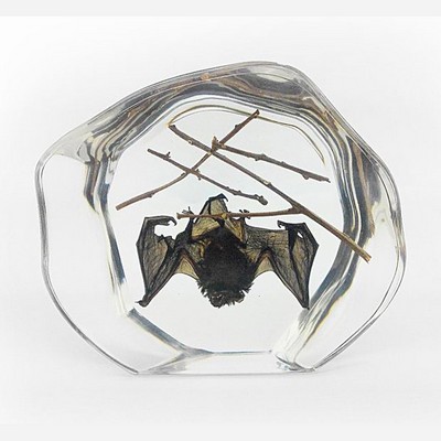 Lucite Paperweights with Real Bat, 4 1/2" X 3 7/8"X 1"