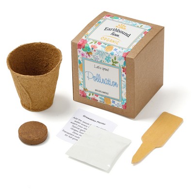 Growables Planter in Kraft Gift Box w/Seeds (Wildflowers)