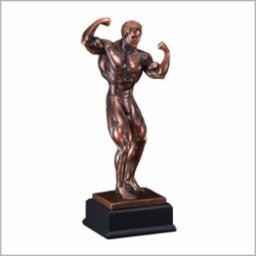 Male Body Builder Award