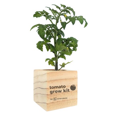 Tomato Grow Kit