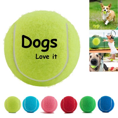 Dog Fetching Tennis Ball