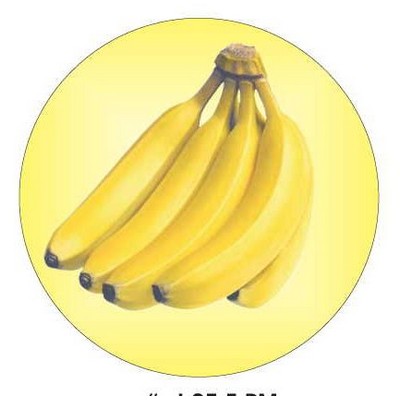 Bananas Round Metal Photo Magnet (2 1/2")