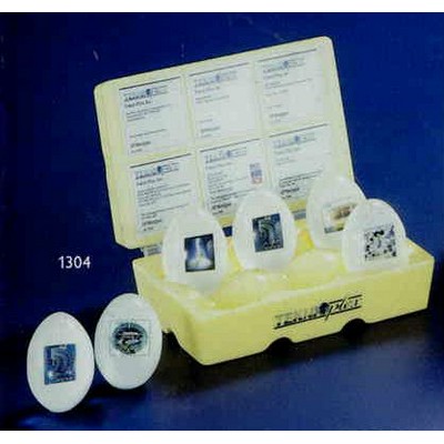 Egg Carton w/Six Eggs Embedment/Award