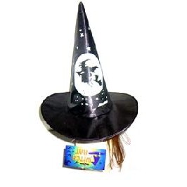 Taffeta Sorcerer/ Witch Hat