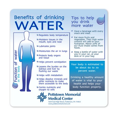 Health & Safety Benefits of Drinking Water Magnet