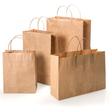 Brown Kraft Paper Bag w/Twisted Paper Handles (16"x6"x19")