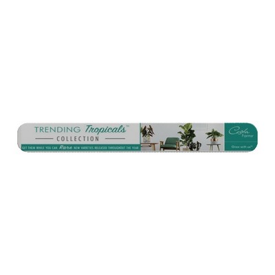 WaveLine® Straight Header - Double Sided Graphics (113"x14")