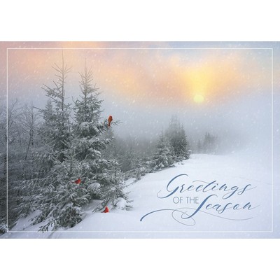 Fantastic Flurries Holiday Cards