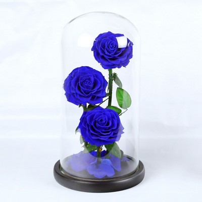 Preserved Real Rose in Glass Doom Gift for Her Valentine's Day Mother's Day