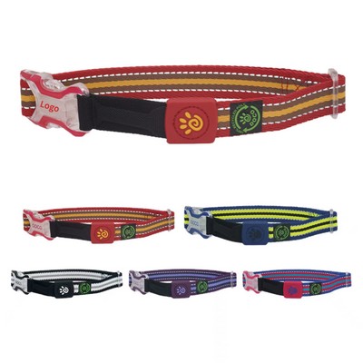 Pet Collar w/Buckle Release