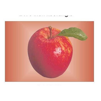 Apple Rectangle Metal Photo Magnet (2"x3")