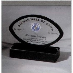 Custom Shape Black Framed Acrylic Award in Wood Base (7"x10")