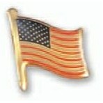 Brass Patriotic Line 5/8" USA Flag & Pole Screen Printed Lapel Pin