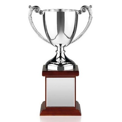 10.25" "Swatkins Endurance Nickel Plated Award Cup