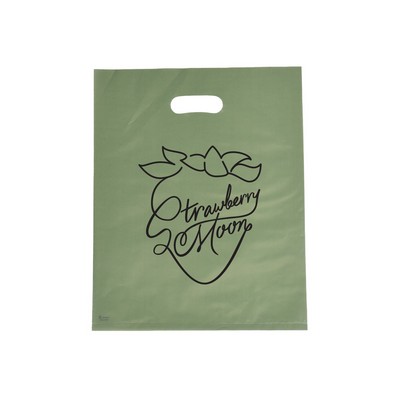 Frosted Sage Colored Poly Merchandise Bag/ 2.5 Mil (12"x15")