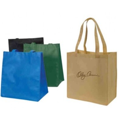 Non Woven 100 Grams Eco Friendly Wide Bottom Grocery Tote Bag