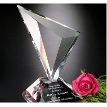 Genesis Award 9"