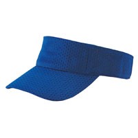 Pro Mesh Visor