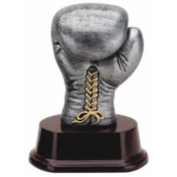 Silver Boxing Glove Award