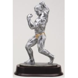 Male Body Building Award