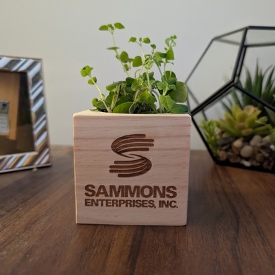 Grow Kit | Solid Wood Cube | All-In-One Planter | Eco-Friendly