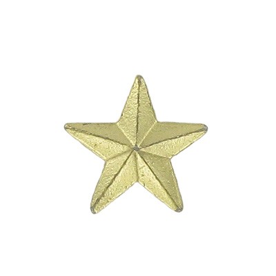 3/8" Die Struck Gold Plated Modeled Star Pin