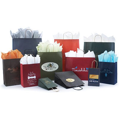 Tinted Colored Kraft Base Paper Bag w/Twisted Paper Handles (8"x4 3/4"x10 3/8")