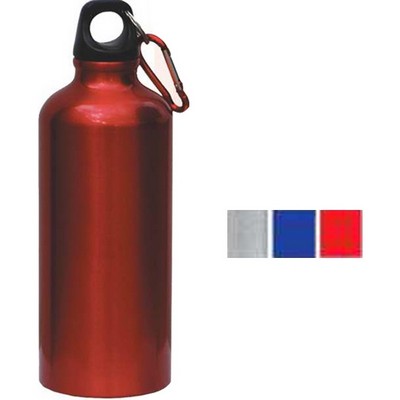 20 Oz. Stainless Steel Bottle