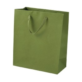 Natural Kraft Brown Cub Recycled Paper Eurotote Bag