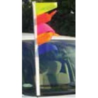 Rainbow Color - Metallic Fringe Pennants