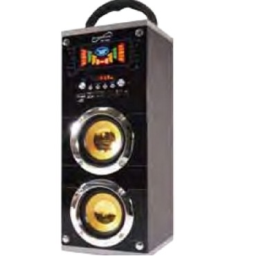 Portable Rechargeable Media Speaker with FM Radio