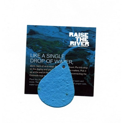 Large Value Water Drop Seed Paper - Wildflowers