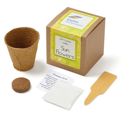 Growables Planter in Kraft Gift Box w/Seeds (Sunflowers)