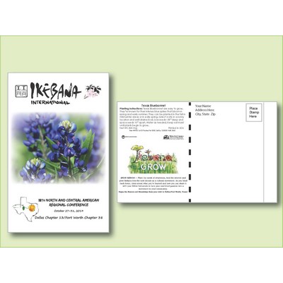 Texas Bluebonnet Seed Packet - Postcard Mailer Size (4" x 6.5")