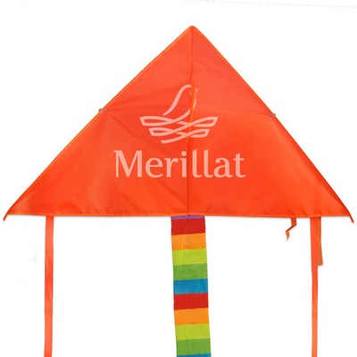 Custom Advertising Kite