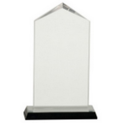 3 1/2" x 7 1/2" Silver Jewel Impress Acrylic Award