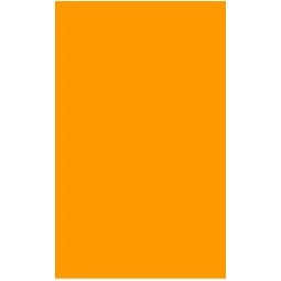 Fluorescent Orange Rectangle Labels - 3" x 5"