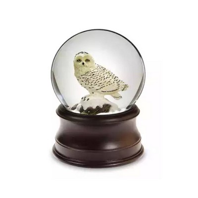 Custom Music Box Owl Snow Globe