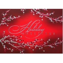 Red & Silver Berries Holiday Card