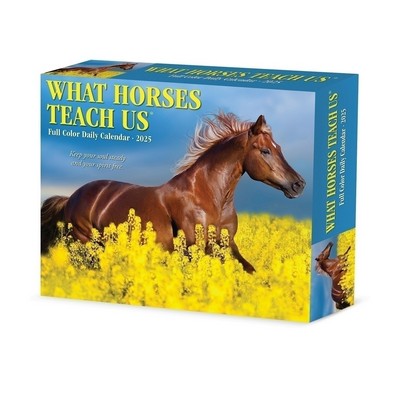 What Horses Teach Us 2025 6.2" x 5.4" Box Calendar